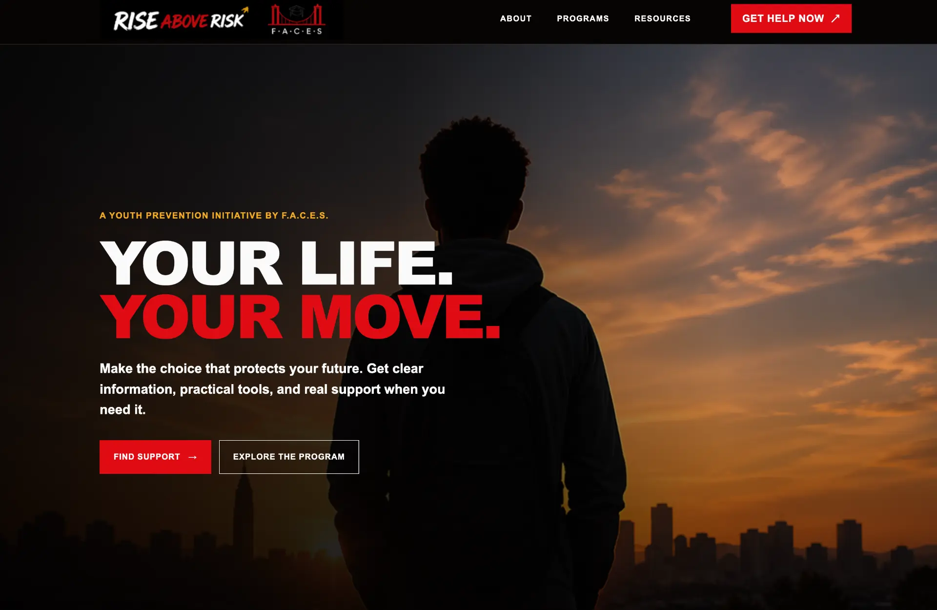 Rise Above Risk website preview